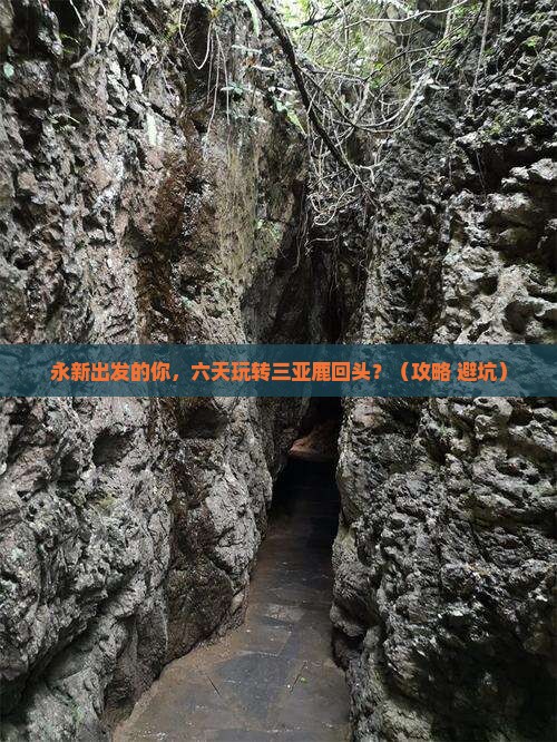 永新出发三亚鹿回头六日游