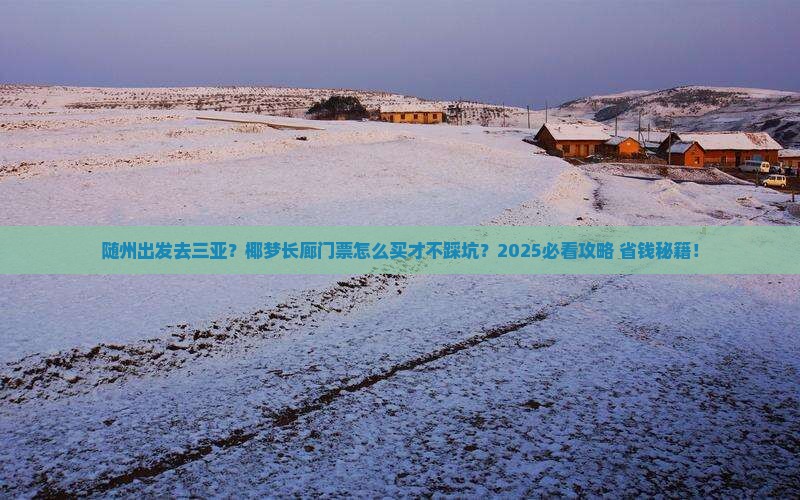随州出发三亚椰梦长廊门票