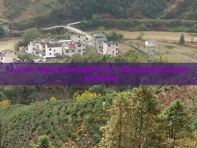 鹤岗去三亚崖洲古城旅游打卡点 鹤岗去三亚崖洲古城旅游打卡点