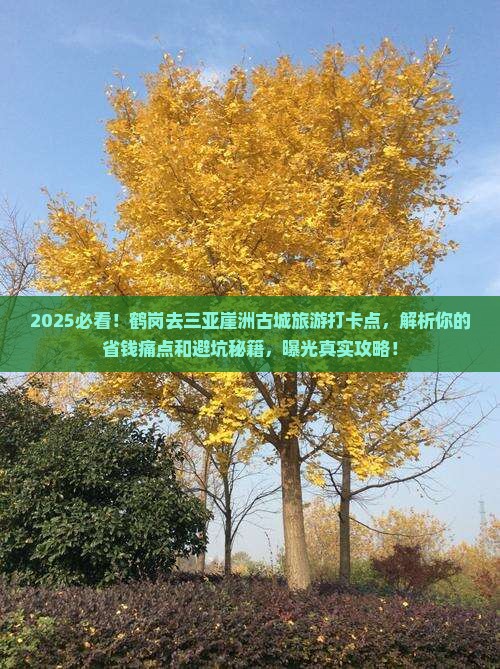 鹤岗去三亚崖洲古城旅游打卡点 鹤岗去三亚崖洲古城旅游打卡点