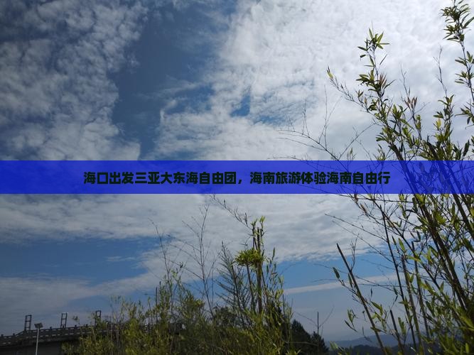 海口出发三亚大东海自由团