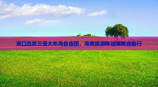 海口出发三亚大东海自由团