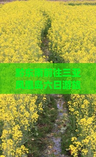 黔东南前往三亚凤凰岛六日游