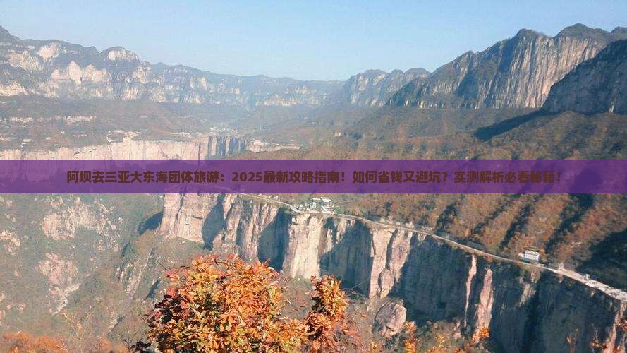 阿坝去三亚大东海团体旅游