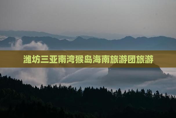 潍坊前往三亚南湾猴岛大型旅游团