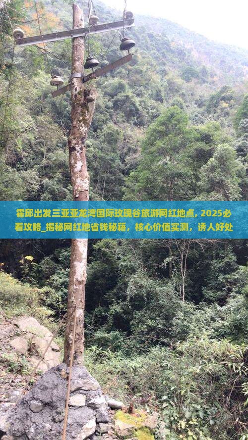 霍邱出发三亚亚龙湾国际玫瑰谷旅游网红地点