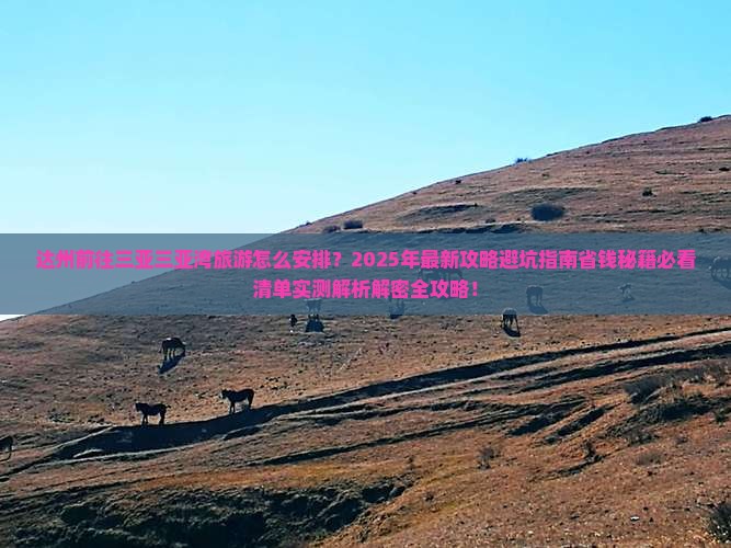 达州前往三亚三亚湾旅游