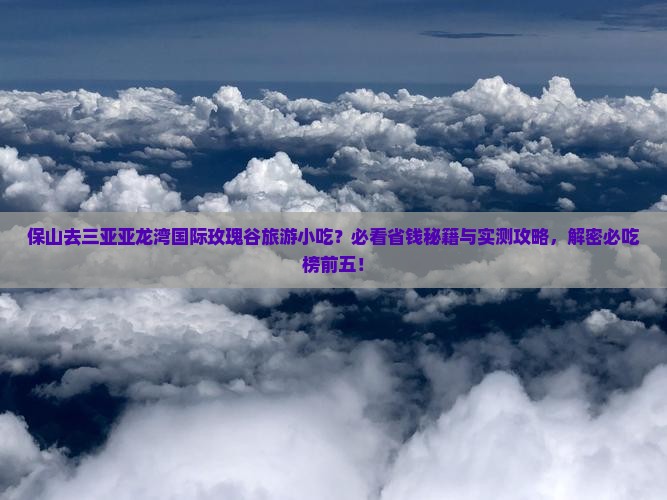 保山去三亚亚龙湾国际玫瑰谷旅游小吃