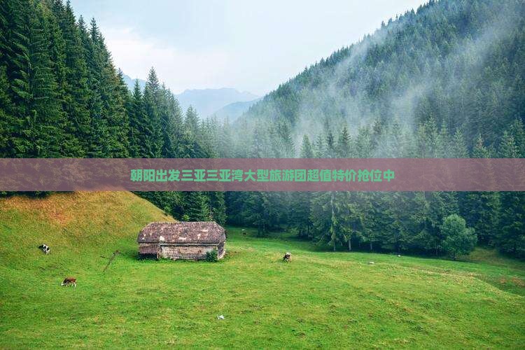 朝阳出发三亚三亚湾大型旅游团
