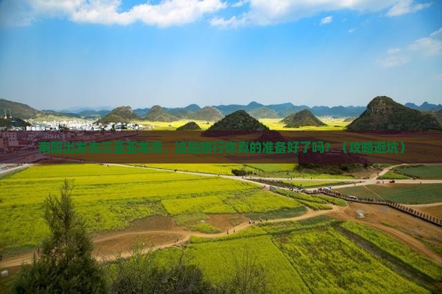 南阳前往三亚亚龙湾旅行社