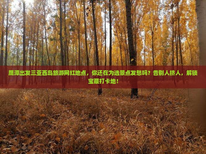 鹰潭出发三亚西岛旅游网红地点 鹰潭出发三亚西岛旅游网红地点