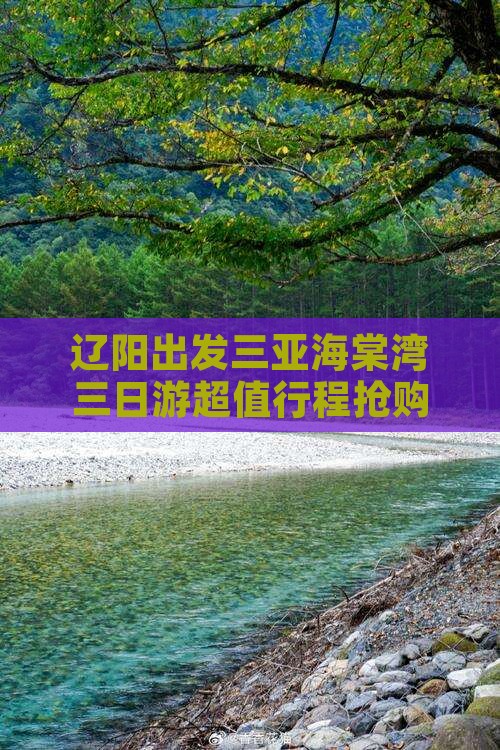 辽阳出发三亚海棠湾三日游
