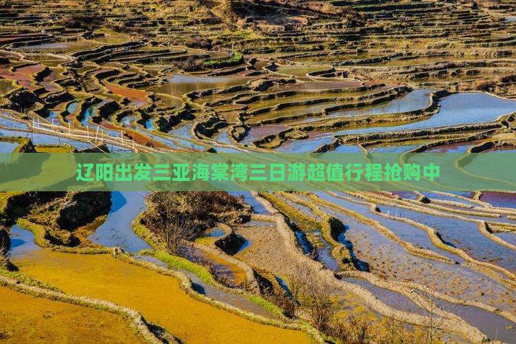 辽阳出发三亚海棠湾三日游