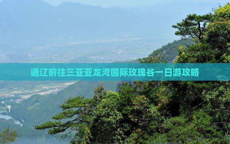 通辽前往三亚亚龙湾国际玫瑰谷一日游