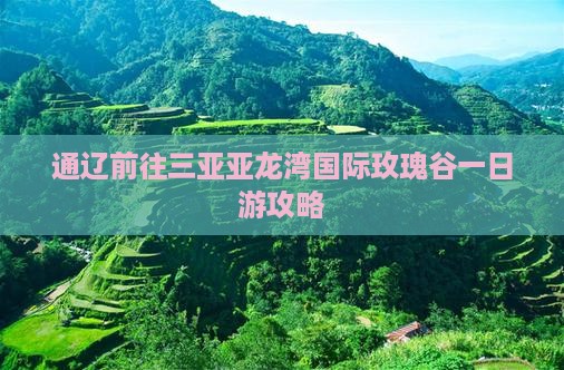 通辽前往三亚亚龙湾国际玫瑰谷一日游