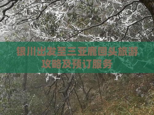 银川出发至三亚鹿回头旅游攻略及预订服务