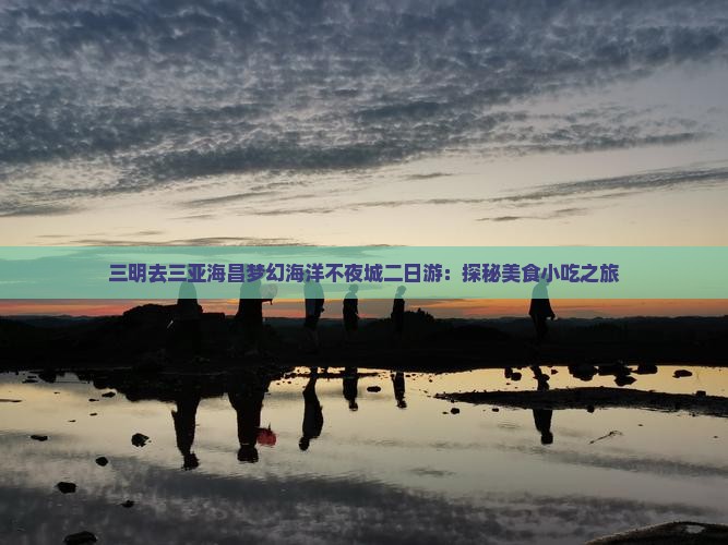 三明去三亚海昌梦幻海洋不夜城二日游：探秘美食小吃之旅