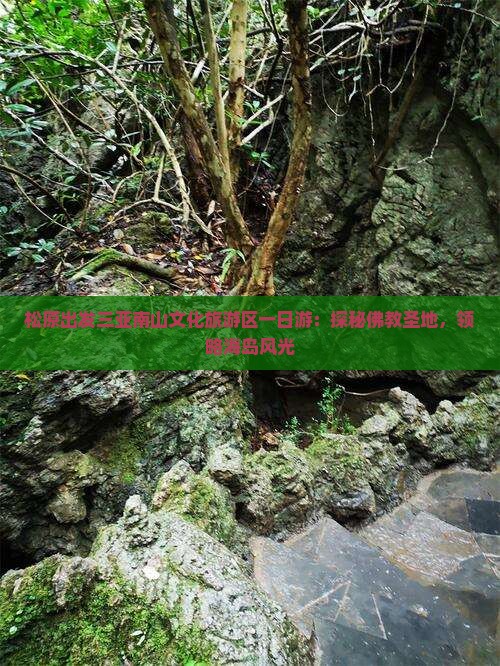 松原出发三亚南山文化旅游区一日游：探秘佛教圣地，领略海岛风光
