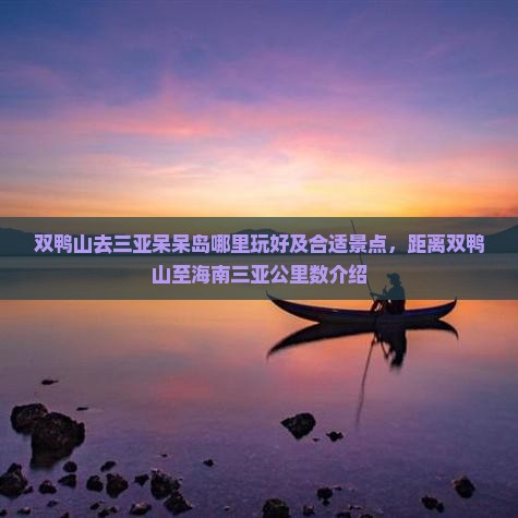 双鸭山去三亚呆呆岛哪里玩好及合适景点，距离双鸭山至海南三亚公里数介绍