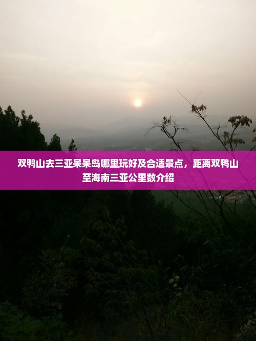 双鸭山去三亚呆呆岛哪里玩好及合适景点，距离双鸭山至海南三亚公里数介绍