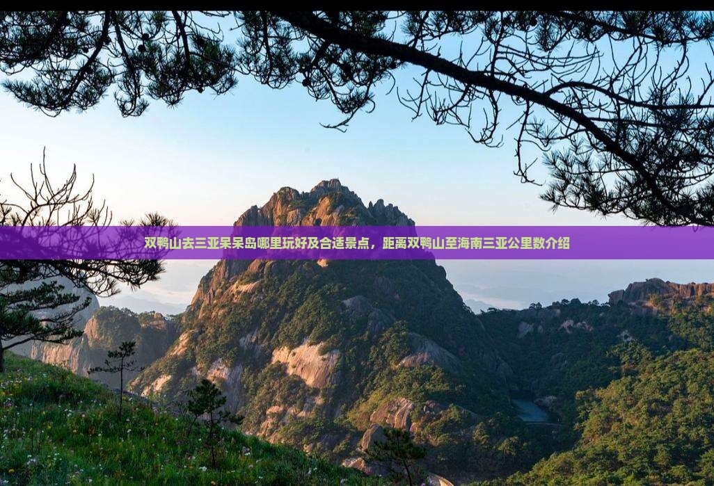双鸭山去三亚呆呆岛哪里玩好及合适景点，距离双鸭山至海南三亚公里数介绍