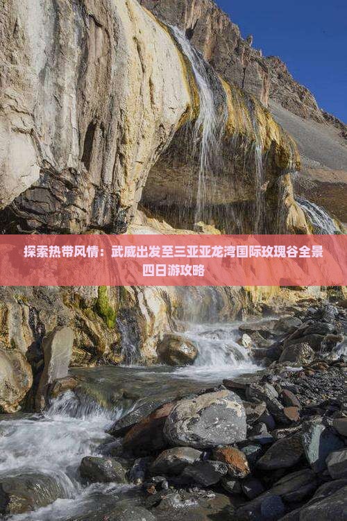 探索热带风情：武威出发至三亚亚龙湾国际玫瑰谷全景四日游攻略