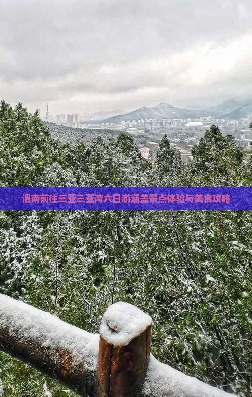 渭南前往三亚三亚湾六日游涵盖景点体验与美食攻略