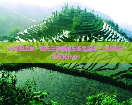 资阳去三亚皇后湾四日游