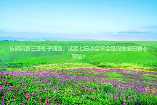 鹤岗前往三亚椰子洲岛七日游
