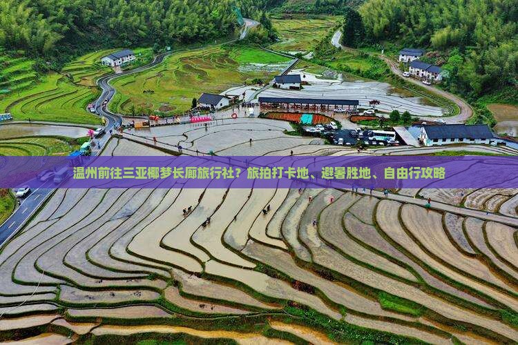 温州前往三亚椰梦长廊旅行社