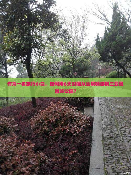 汕尾去三亚凤凰岭公园六日游