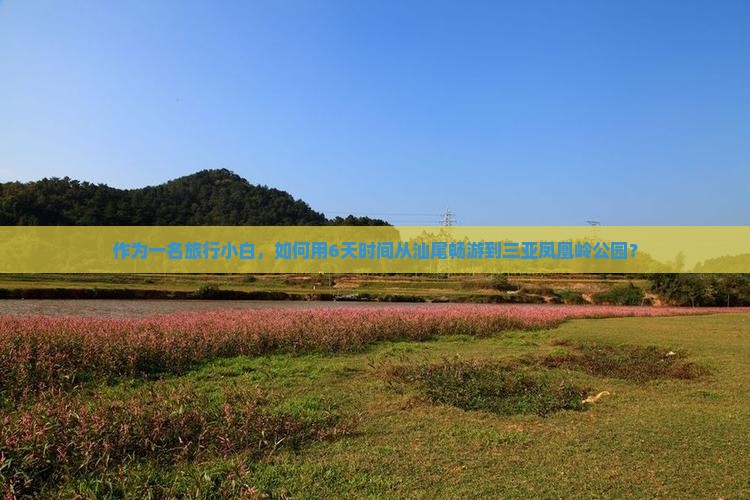 汕尾去三亚凤凰岭公园六日游