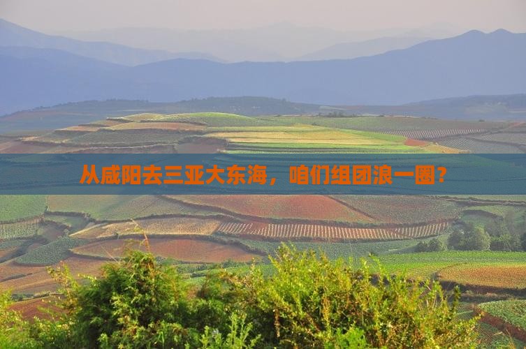 咸阳出发三亚大东海团体旅游