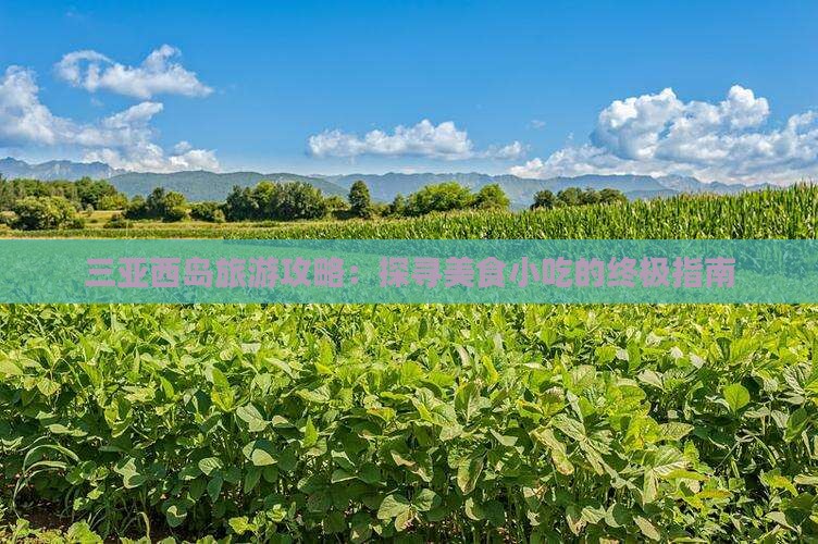 红河去三亚西岛旅游小吃