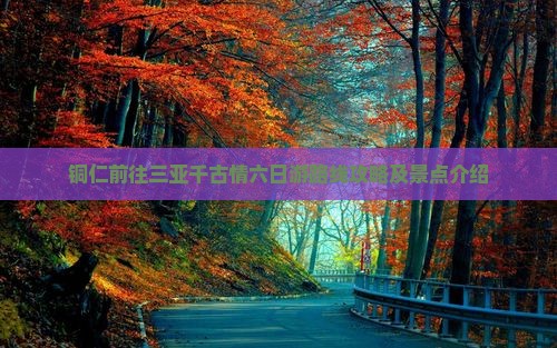 铜仁前往三亚千古情六日游