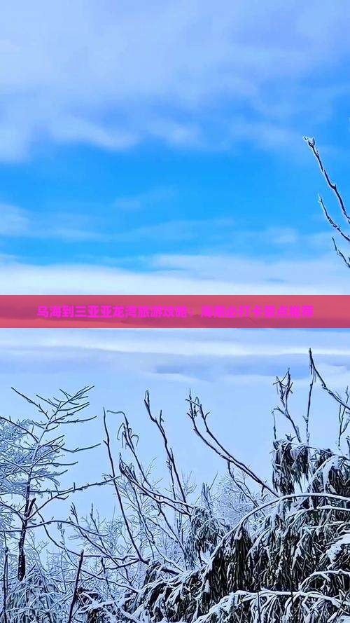 乌海去三亚亚龙湾旅游打卡点