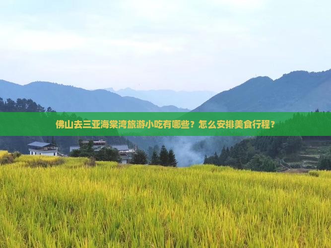 佛山去三亚海棠湾旅游小吃