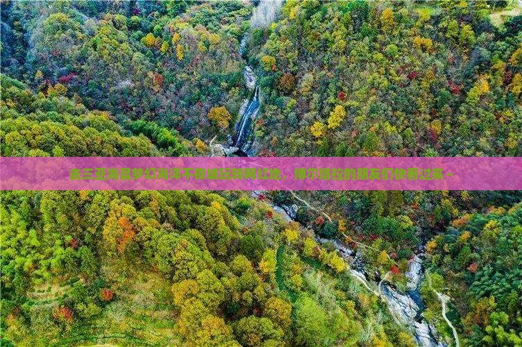 博尔塔拉前往三亚海昌梦幻海洋不夜城旅游网红地点