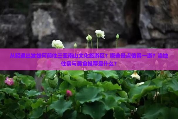 昭通前往三亚南山文化旅游区哪里玩