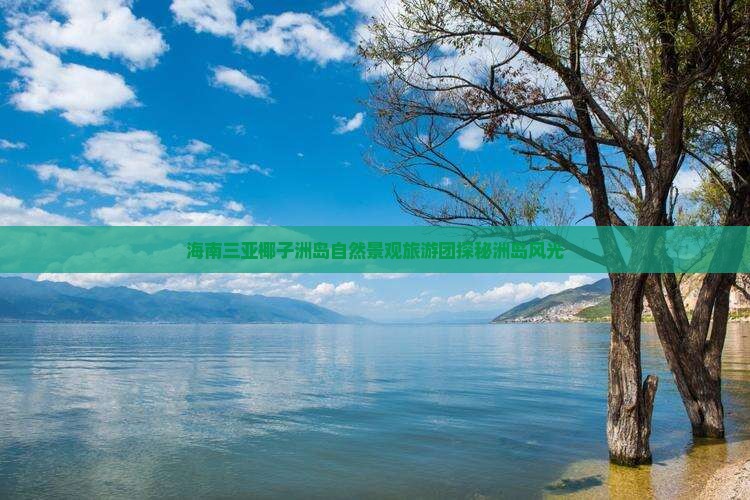 清远前往三亚椰子洲岛大型旅游团