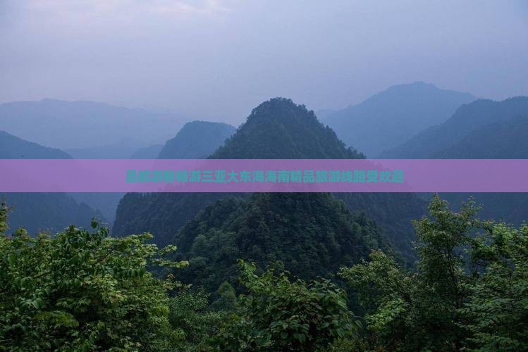 昌都前往三亚大东海大型旅游团