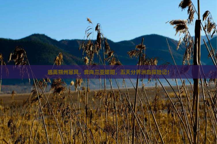 朔州去三亚分界洲岛五日游