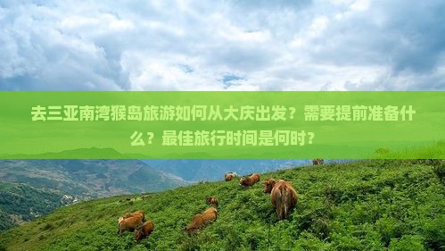 大庆出发三亚南湾猴岛攻略
