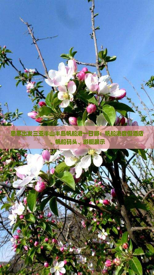 思茅出发三亚半山半岛帆船港一日游