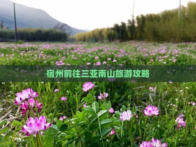 宿州前往三亚南山文化旅游区个人游 宿州前往三亚南山文化旅游区个人游