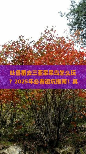 吐鲁番去三亚呆呆岛攻略