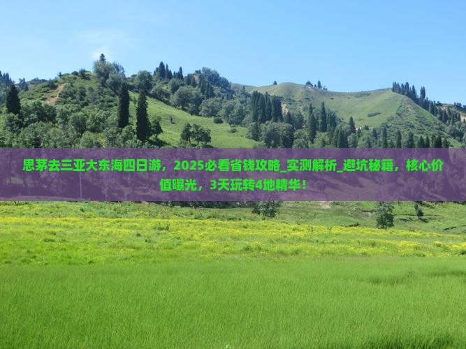 思茅去三亚大东海四日游