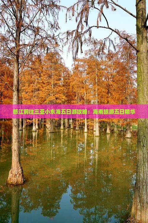 怒江前往三亚小东海五日游