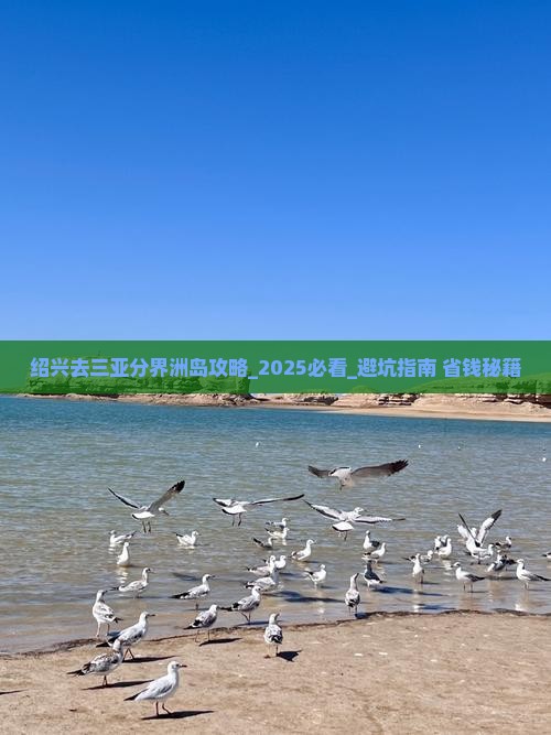 绍兴去三亚分界洲岛攻略