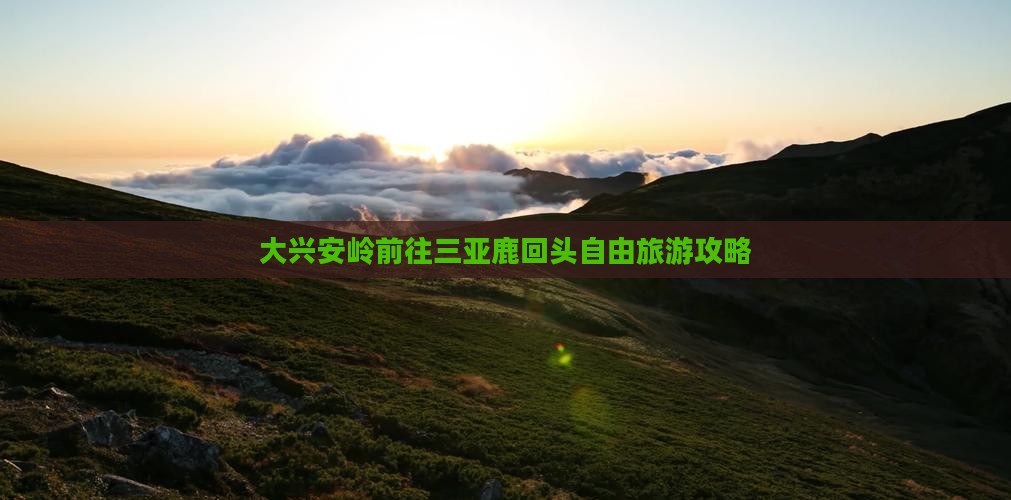 大兴安岭前往三亚鹿回头自由团